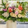 taylor_shop345